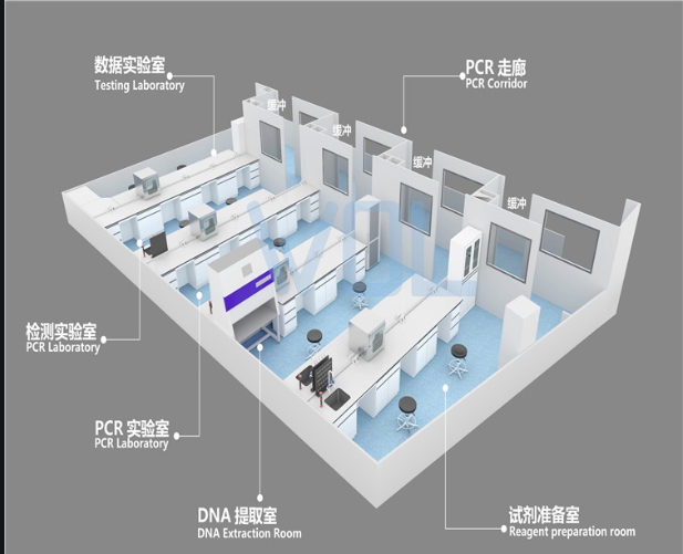 潔凈實(shí)驗(yàn)室建設(shè)